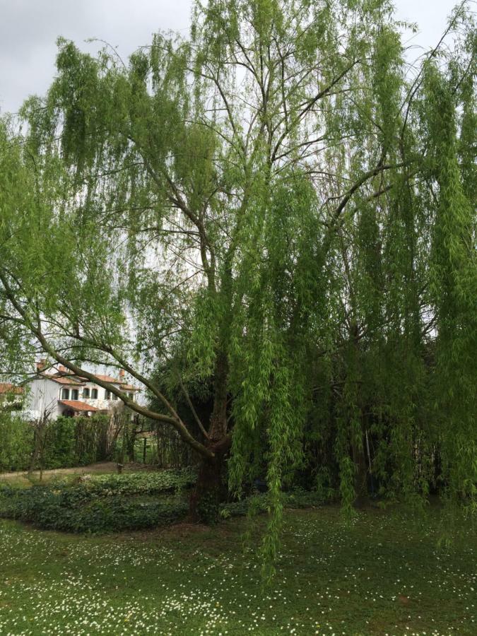 Bed and Breakfast Ca L'Oasi San Donà di Piave Zewnętrze zdjęcie